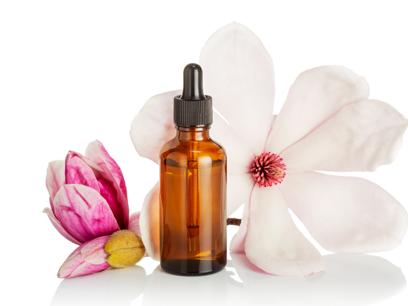 Magnolia Essential Oil Uses, Benefits and Recipes Spotlight
