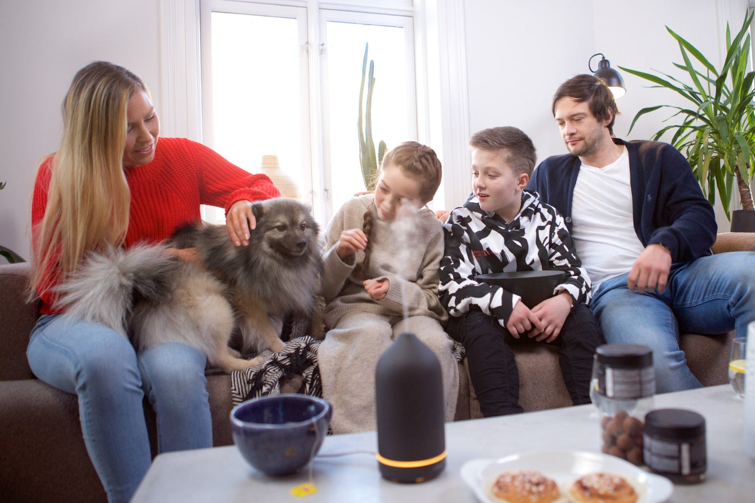 Eteriska oljor och husdjur: Allt du behöver veta