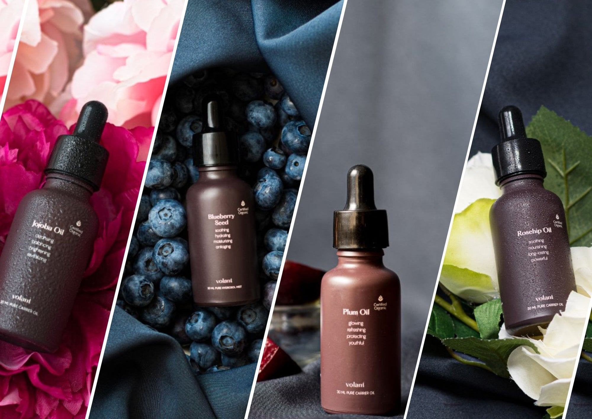 The Best Carrier Oils for Essential Oils