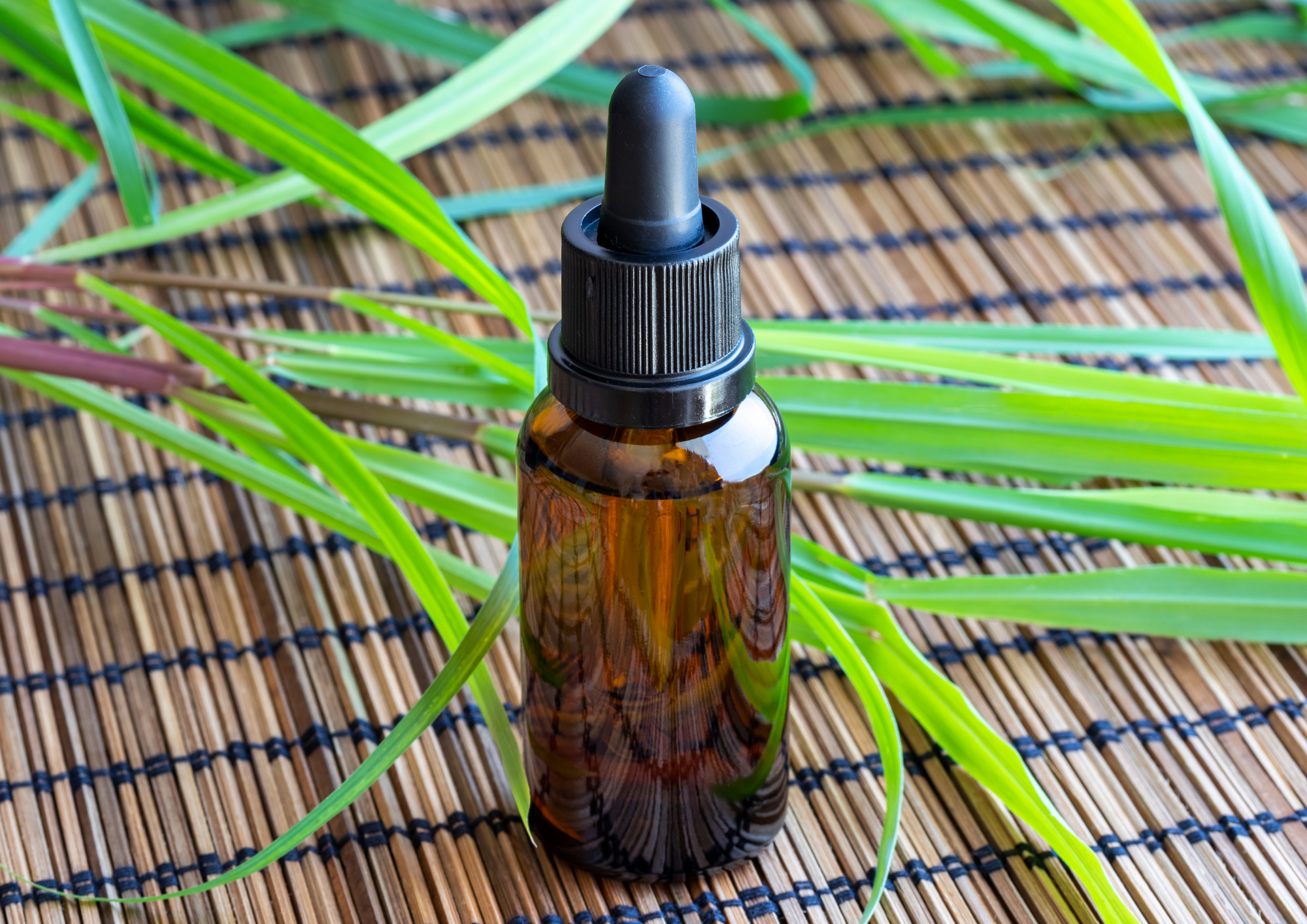 Complete Guide to Palmarosa Essential Oil