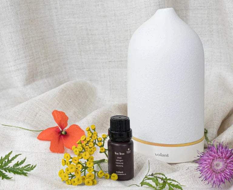 Complete Guide To Tea Tree Essential Oil