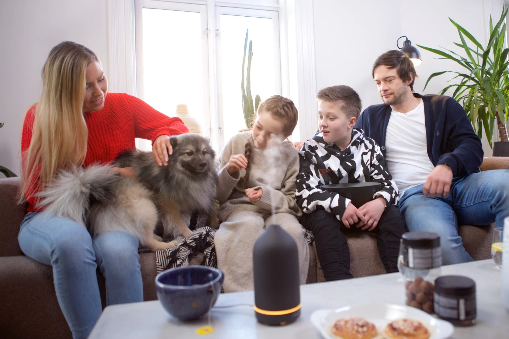 Complete Guide To Essential Oils for Dogs: Benefits, Uses and Cautions