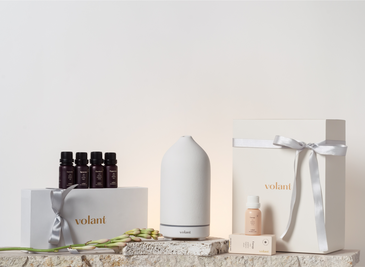 2023 Gift Guide For Everyone On Your List