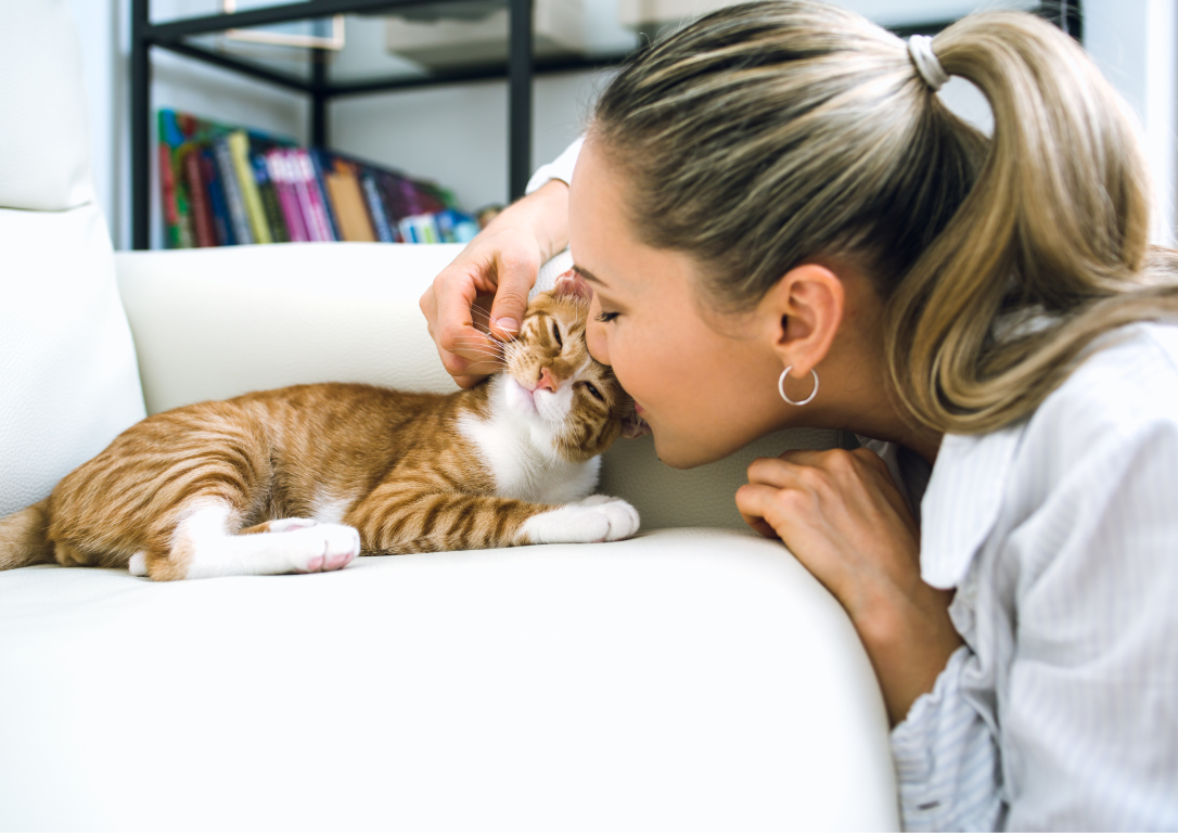 Unser vollständiger Leitfaden für ätherische Öle für Katzen: Vorteile, Verwendung und Vorsichtsmaßnahmen