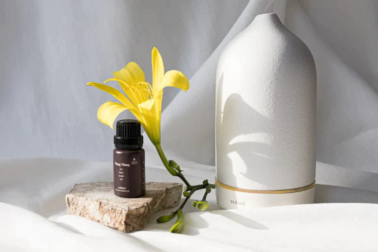 Our Complete Guide to Ylang Ylang Essential Oil: Benefits, Uses and Cautions