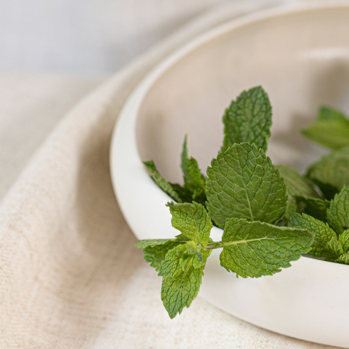 økologiske pebermynteblade