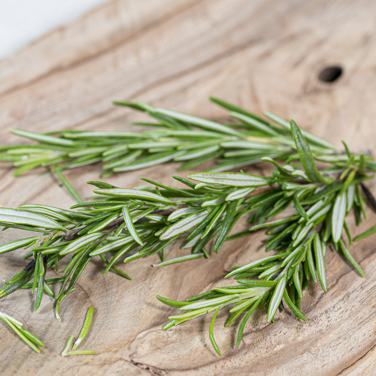 organic rosemary leaves