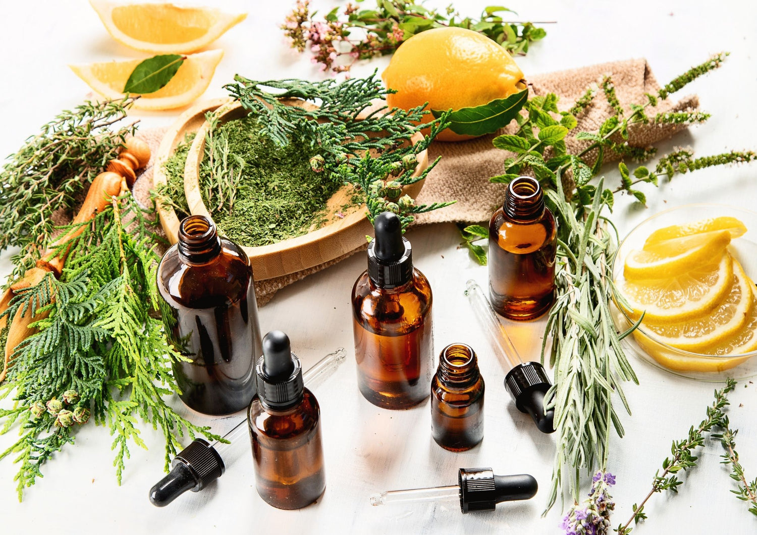 Top 5 Antifungal Essential Oils for Skin, Scalp and Nails