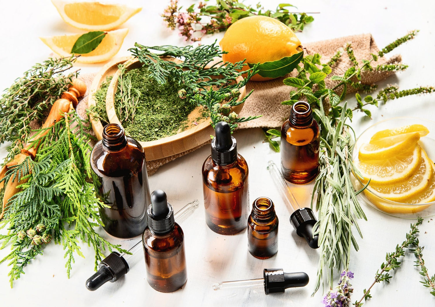 The Top 5 Antifungal Essential Oils for Skin, Scalp and Nails