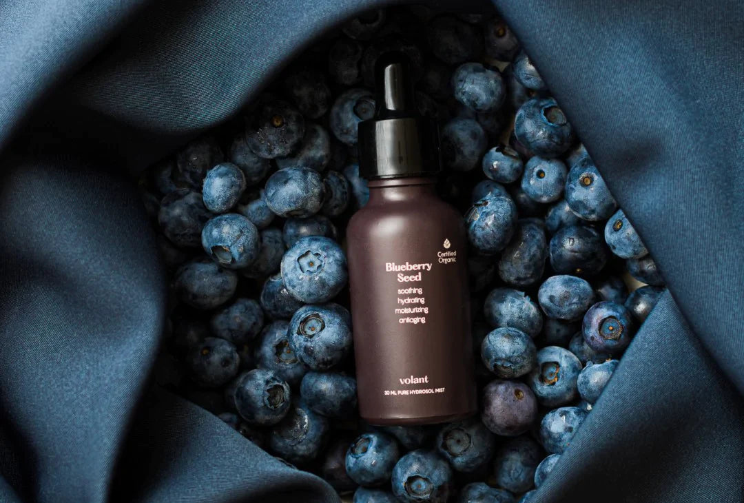 Our Complete Guide to Blueberry Seed Oil