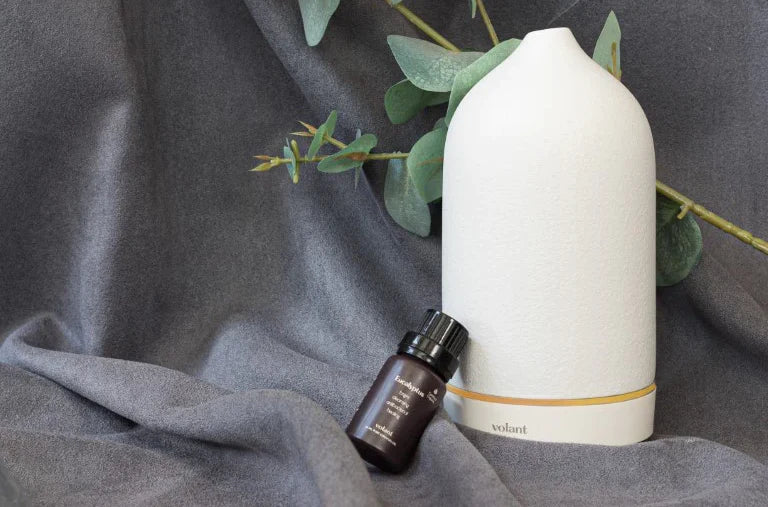 Our Complete Guide to Eucalyptus Essential Oil: Benefits, Uses and Cautions