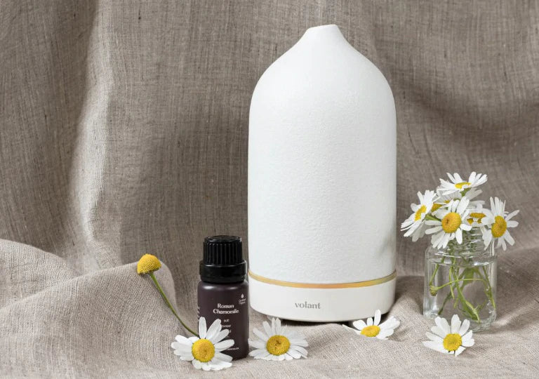 Our Complete Guide to Roman Chamomile Essential Oil: Benefits, Uses and Cautions