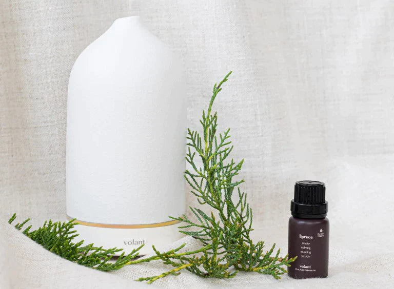 Our Complete Guide to Spruce Essential Oil: Benefits, Uses and Cautions