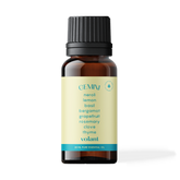 Gemini Blend
