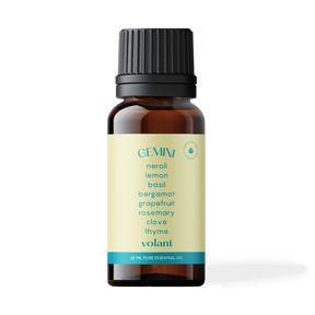 Gemini Blend